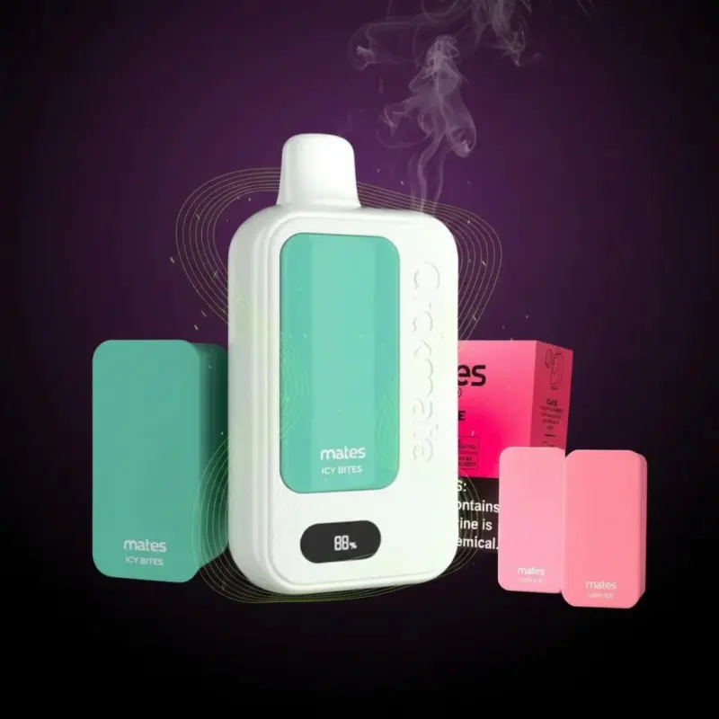 PROMO CLICKMATE COMBO SUMMER